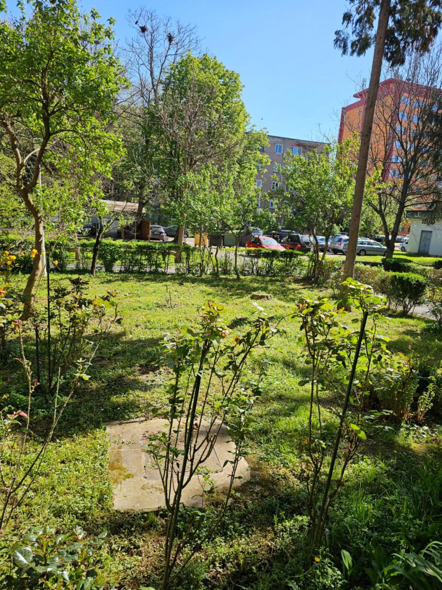 Apartament Alina Дева Екстер'єр фото